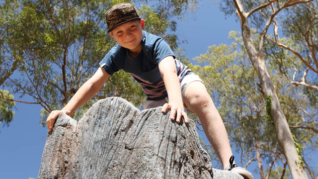 What’s On for Primary School Kids